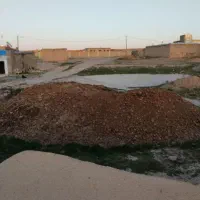 پهن گوسفندی|خدمات باغبانی و درختکاری|گل تپه, |دیوار