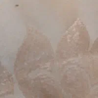 طلا یک گرمی دوگرمی