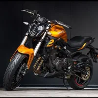 بنلی300طلایی403