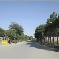 فروش زمین مسکونی|فروش زمین و ملک کلنگی|اسلام‌شهر, سیمرغ|دیوار