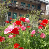 اقامتگاه و سوییت و بومگردی و سویت|اجارهٔ کوتاه‌مدت ویلا و باغ|گرگان, |دیوار