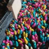 فروش انواع جوجه غاز بوقلمون بیوتی ورنگی واردک