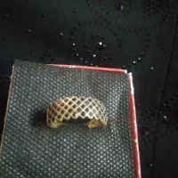 انگشتر|بدلیجات|بروجرد, |دیوار