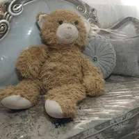 خرس خاکستری