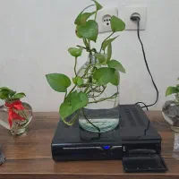 دستگاه دیجیتال