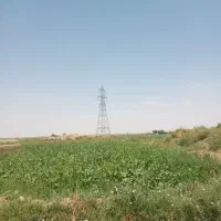 اجاره زمین ابی کشاورزی همدان فامنین|اجارهٔ دفتر صنعتی، کشاورزی، تجاری|فامنین, |دیوار