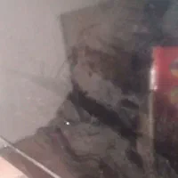 تلویزیون ۳۲ سامسونگونک