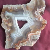 شجر|کلکسیون اشیاء عتیقه|قم, انصارالحسین|دیوار