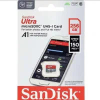 Ram 256G SanDisk