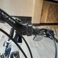 دوچرخه ۲۴ ویوا اصل تایوان