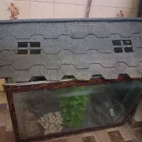 آکواریوم سایز بزرگ