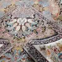 قالی ۷۰۰شونه تمیز