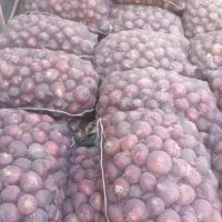 پیاز قرمز سیاه|عمده‌فروشی|مراغه, |دیوار