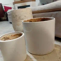 یه تعداد  وسایل اکبند برای فروش به علت کمبودجا|ظروف سرو و پذیرایی|تهران, جردن|دیوار