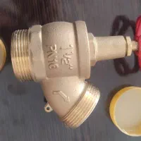 شیرانش نشانی