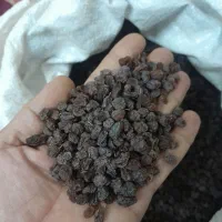 کشمش افتابی .بیدانه