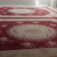 فرش ۹ متری|فرش|شیراز, گلکوب|دیوار