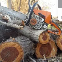 نیسان کمپرسی خریدار. چوب|خدمات باغبانی و درختکاری|نوشین شهر, |دیوار