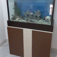 اکواریوم کمد دار