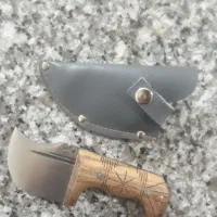 گازن سالم نو