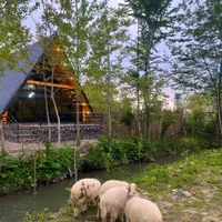 کلبه سوئیسی نوساز لب رودخانه در ماسال|اجارهٔ کوتاهمدت ویلا و باغ|ماسال, |دیوار