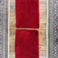 دوعدد پادری ترک