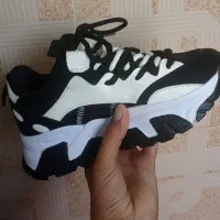 کتونی|کیف، کفش، کمربند|محمدشهر, شهرک چمران|دیوار