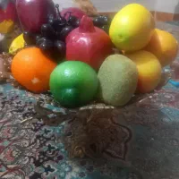 میوه مصنوعی