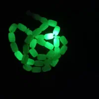 تسبیح شب نما