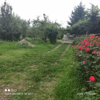 اجاره خانه باغ دربست بسمت جنگل دوهزار ، سه هزار|اجارهٔ کوتاه‌مدت ویلا و باغ|تنکابن, |دیوار