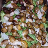 حلزون اچاتینا