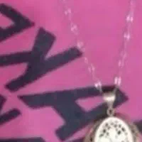 زنجیر و پلاک گم شده