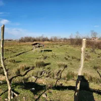 زمین-جنگلی-کوهپایه