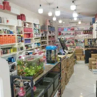 فروشنده خانم نیمه وقت