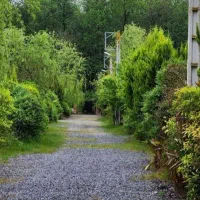 بازدید این زمینو ازدست نده یه فرصت عالی زمین ساخت|فروش زمین و ملک کلنگی|رویان, |دیوار