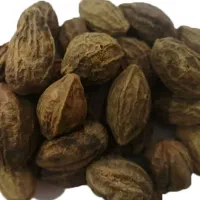 پخش عمده  تخم زنیان سرت تمیز حلیله سیاه وحلیله زرد|خوردنی و آشامیدنی|تهران, تهرانسر شمالی|دیوار