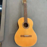 گیتار پارسی