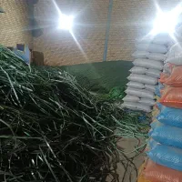 خریدار تسمه پت.فروش آسیابی تسمه پت