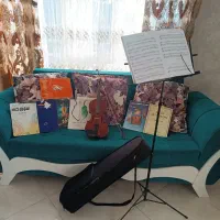 ویولن دست ساز|ویولن|شهریار, شهرک وائین|دیوار