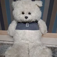 خرس برفی|اسباب‌‌بازی|همدان, |دیوار