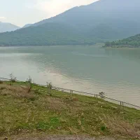 کود سفید به قیمت مناسب داشتی زنگ بزن