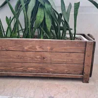 گلدان چوبی ۳۰×۸۰|گل و گیاه طبیعی|شهریار, شهرک امیریه|دیوار