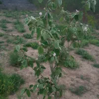 فروش خانه مسکونی