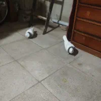 کبوتر|پرنده|ری, فیروزآبادی|دیوار