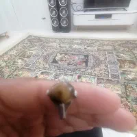 فروش فوری انگشتر نقره