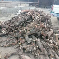 خرید انواع چوب باغی وهرس درخت