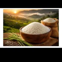 برنج شیرودی گیلان درج1 ( تحویل درب منزل )