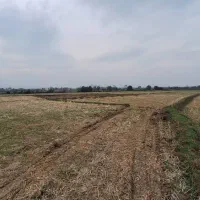 زمین‌ مزروعی ۱۵/۰۰۰متری تسطیح‌نشده در تالش کلفارود|فروش زمین و ملک کلنگی|تالش, طولارود|دیوار