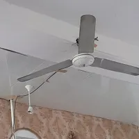 پنکه سقفی