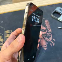 12pro